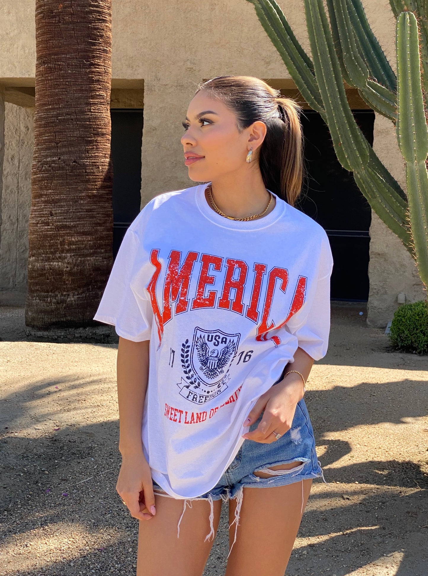 America Oversized Tee